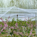 La fabrication des oiseaux dans les jardins empêche les oiseaux nuisibles d&#39;entrer